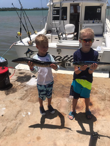 Chase trophy fish in Falmouth! 